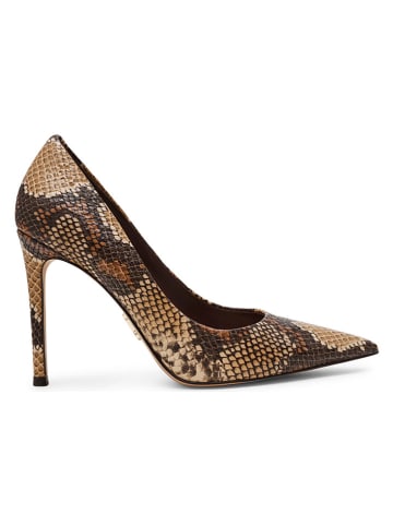 Steve Madden Pumps in Hellbraun/ Braun