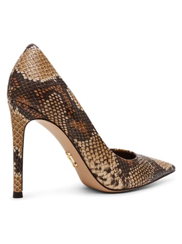 Steve Madden Pumps lichtbruin/bruin