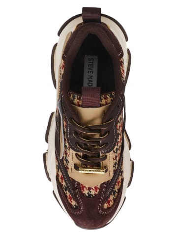 Steve Madden Sneakers in Braun