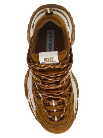 Steve Madden Sneakers lichtbruin