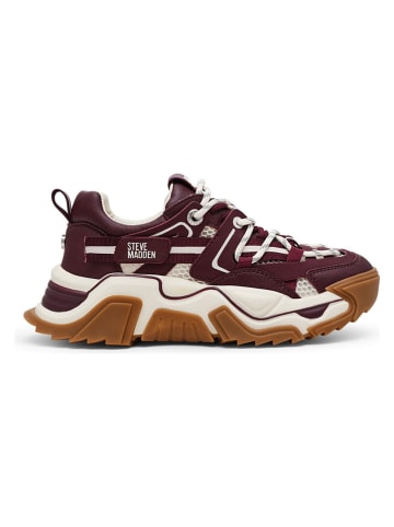 Steve Madden Sneakersy w kolorze fioletowym