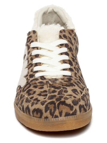 Steve Madden Leren sneakers lichtbruin/bruin
