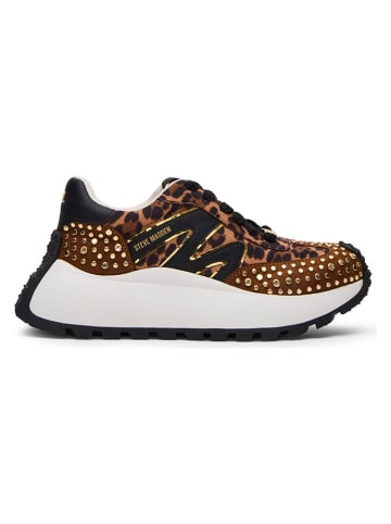 Steve Madden Sneakersy w kolorze brązowo-czarnym