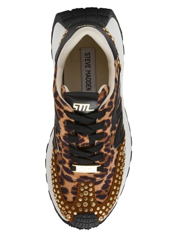 Steve Madden Sneakers bruin/zwart