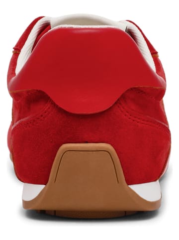 Steve Madden Leder-Sneakers in Rot