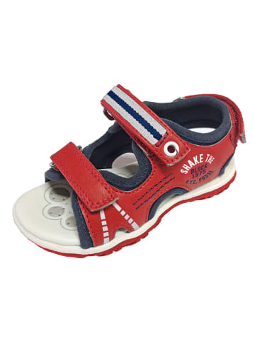 Chicco Sandalen rood