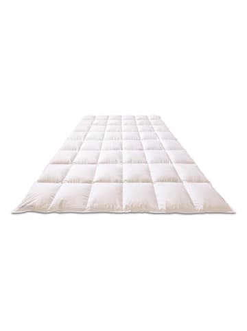 Sanders-Kauffmann Winter-Daunendecke "Weidegans" in Weiß - (L)200 x (B)135 cm
