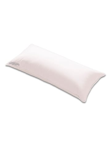 Sanders-Kauffmann Daunen-Kammerkissen "Weidegans" in Weiß - (L)40 x (B)80 cm