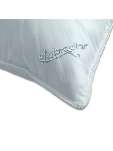 Sanders-Kauffmann Daunen-Kammerkissen "Labrador" in Weiß - (L)80 x (B)80 cm