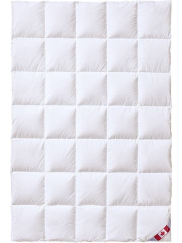 Sanders-Kauffmann Herbst-Daunendecke "Canada" in Weiß - (L)220 x (B)155 cm