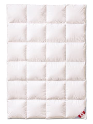 Sanders-Kauffmann Winter-Daunendecke "Canada" in Weiß - (L)200 x (B)200cm