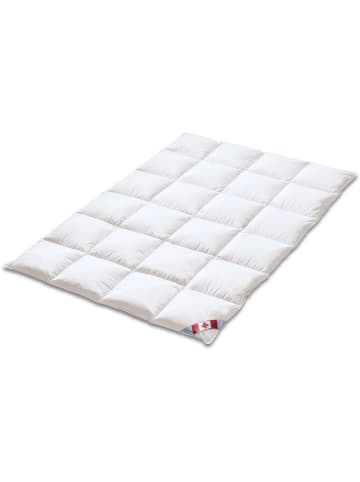 Sanders-Kauffmann Ultra-Winter-Daunendecke "Canada" in Weiß - (L)220 x (B)155 cm