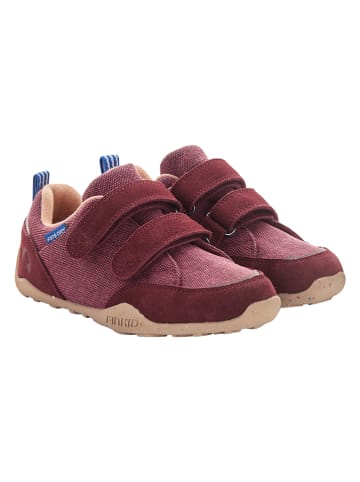 finkid Buty barefoot "Varvas" w kolorze czerwonym
