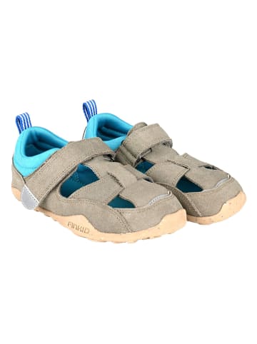 finkid Barfußschuhe "Sukkela" in Khaki