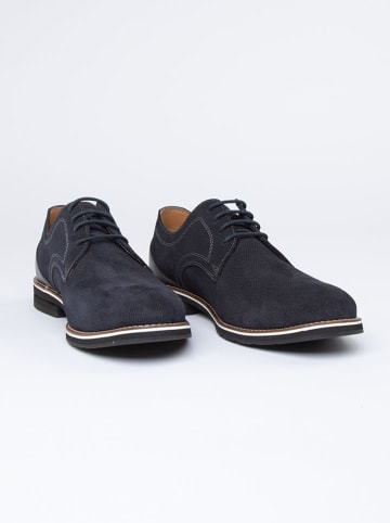 PAUL VESTERBRO Leder-Schnürschuhe in Dunkelblau
