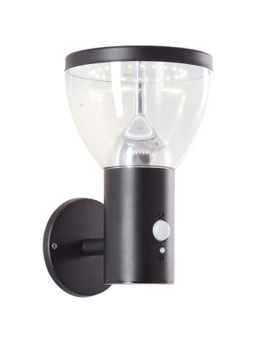 Brilliant Solarna lampa ścienna LED "Tulip" w kolorze czarnym - 16 x 24,5 x 17,5 cm