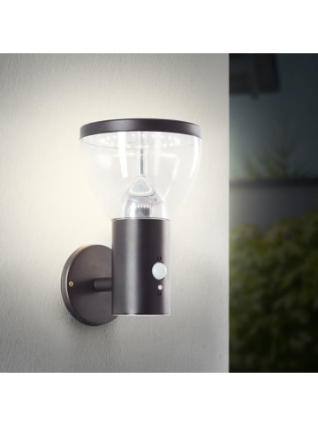 Brilliant Solarna lampa ścienna LED "Tulip" w kolorze czarnym - 16 x 24,5 x 17,5 cm