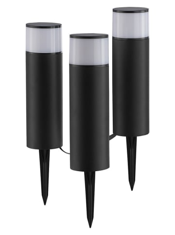 Brilliant 3-delige set: ledsolargrondspinnen "Dody" zwart - (H)39 cm