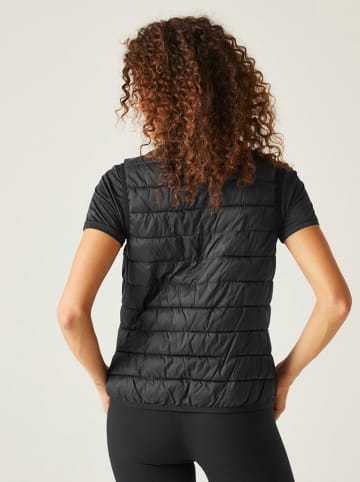 Regatta Steppweste "Hillpack II" in Schwarz