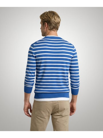 McGregor Trui blauw/wit
