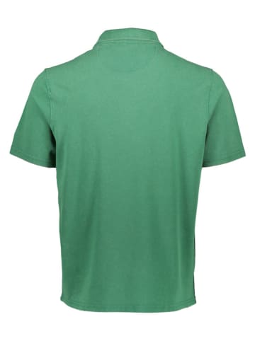 Champion Koszulka polo w kolorze zielonym