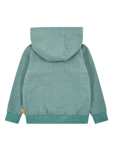 Steiff Sweatvest groen