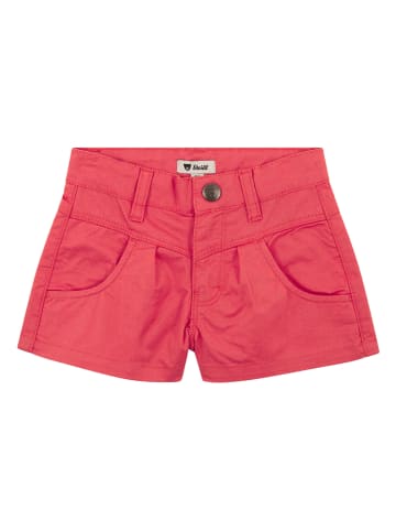 Steiff Short rood