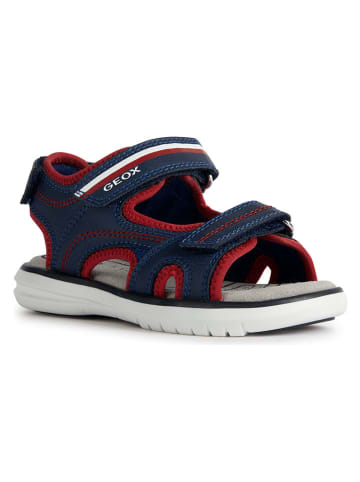 Geox Sandalen "Maratea" in Dunkelblau