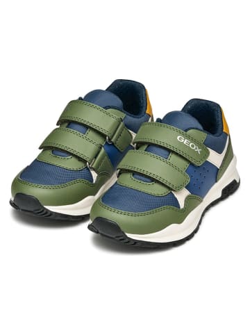 Geox Sneakers "Pavel" in Grün/ Blau
