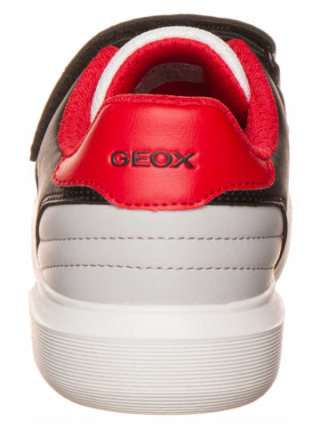 Geox Sneakers "Nettuno" in Weiß/ Schwarz