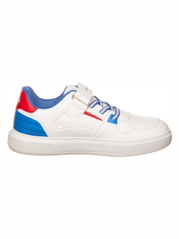 Geox Sneakers "Nettuno" in Weiß/ Blau