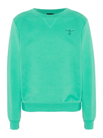 Chiemsee Sweatshirt in Grün