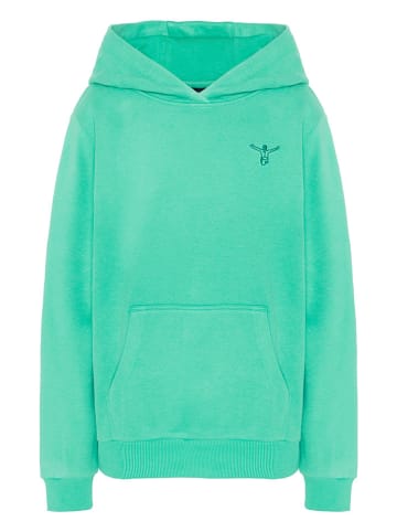 Chiemsee Bluza w kolorze zielonym