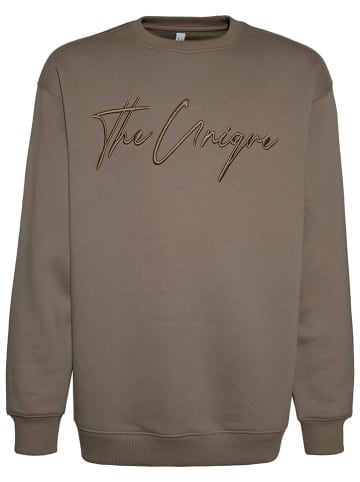 Blue Effect Sweatshirt in Braun