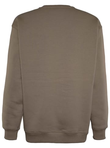 Blue Effect Sweatshirt in Braun
