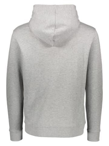 Pepe Jeans Hoodie in Hellgrau