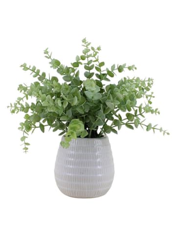 Ornami Sztuczna roślina w kolorze zielonym - wys. 26 x Ø 24 cm