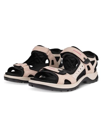 Ecco Wandersandalen "Offroad" in Rosa/ Beige