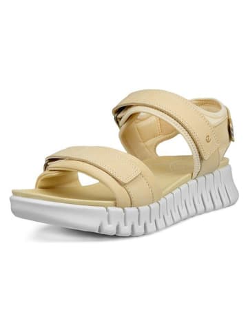 Ecco Leder-Sandalen "Gruuv Sol" in Beige
