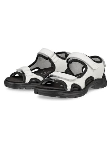 Ecco Leder-Wandersandalen "Hike" in Weiß