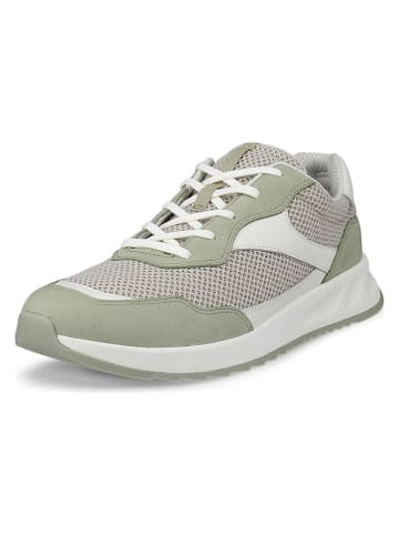 Ecco Leder-Sneakers "Otm" in Grün/ Weiß
