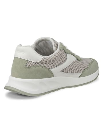 Ecco Leder-Sneakers "Otm" in Grün/ Weiß