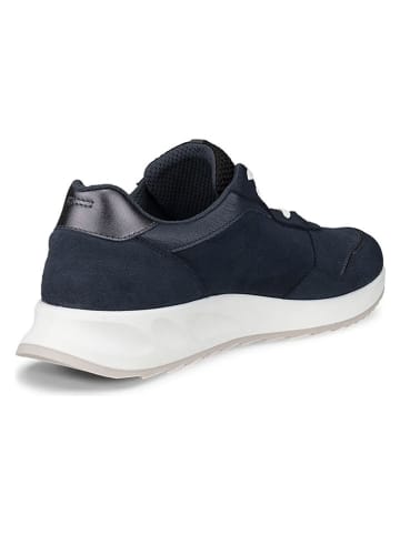 Ecco Leder-Sneakers "Otm" in Dunkelblau
