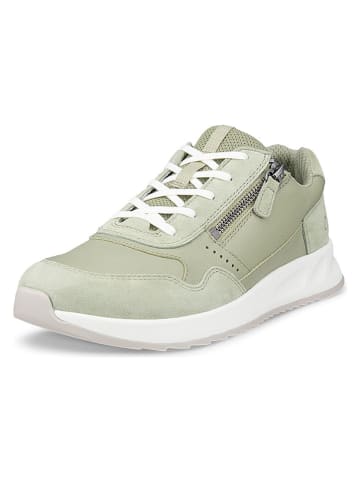 Ecco Leder-Sneakers "Otm" in Grün