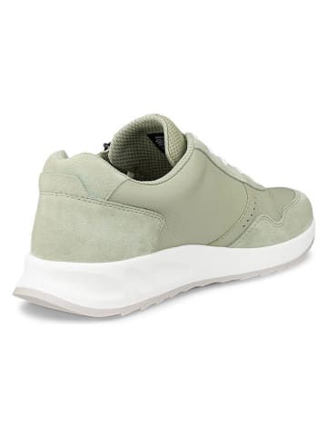 Ecco Leder-Sneakers "Otm" in Grün