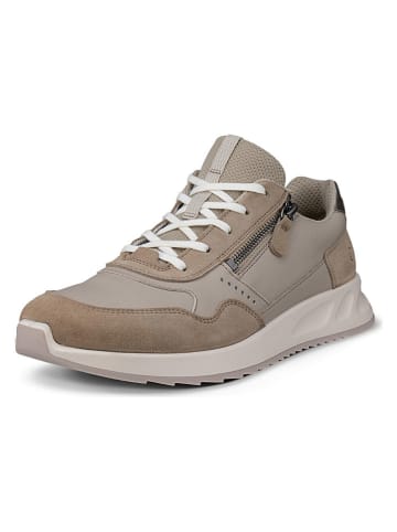 Ecco Leren sneakers "Otm" bruin