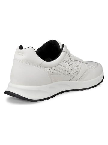 Ecco Leder-Sneakers "Otm" in Weiß