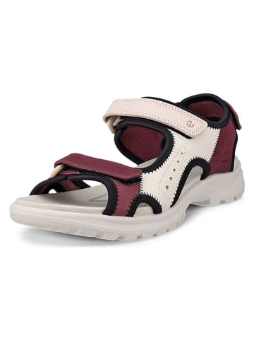 Ecco Leder-Wandersandalen "Onroads" in Rot/ Rosa