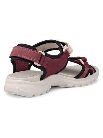 Ecco Leder-Wandersandalen "Onroads" in Rot/ Rosa