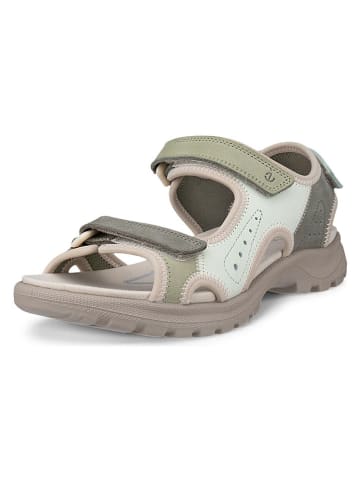 Ecco Leder-Wandersandalen "Onroads" in Khaki